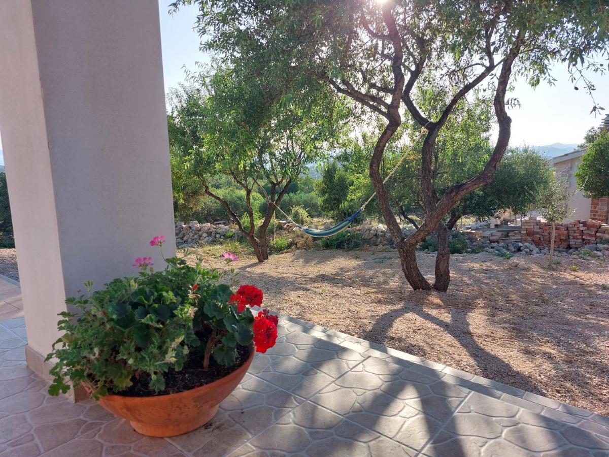 הוילה Olive Garden House שיבניק מראה חיצוני תמונה