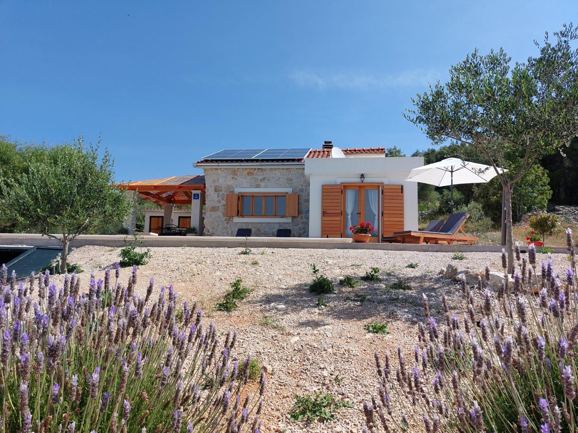הוילה Olive Garden House שיבניק מראה חיצוני תמונה